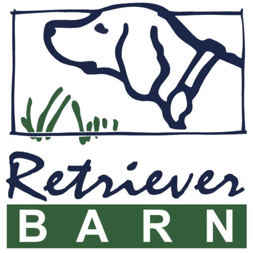 The Perfect Companion | Retriever Hunting Training